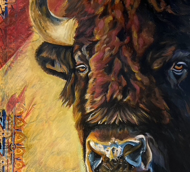 Bison